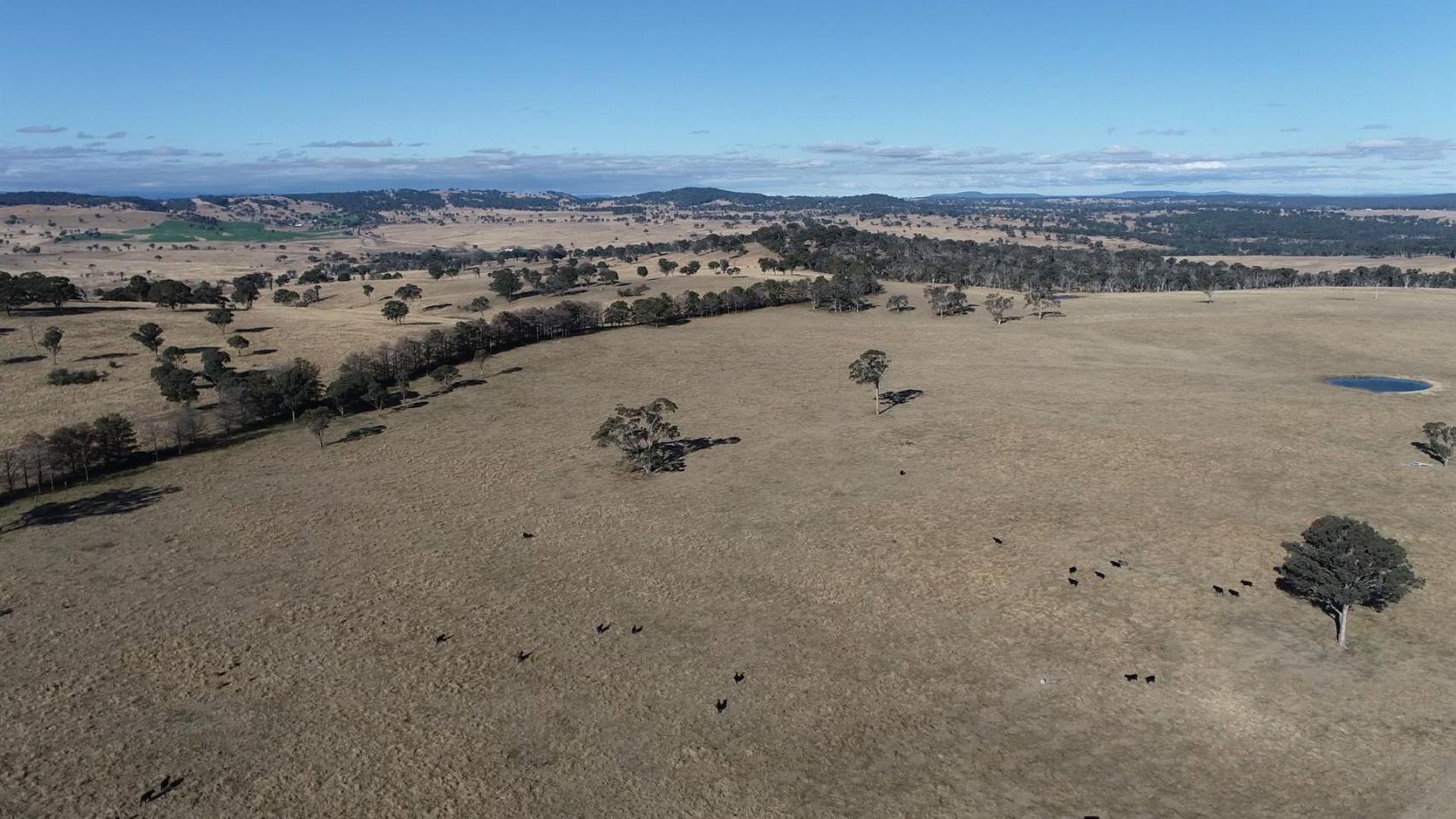 La española FRV consigue un préstamo verde para una planta solar en Australia