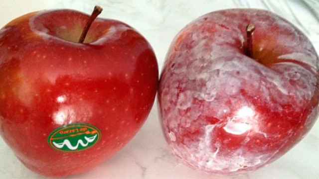 A la izquierda, una manzana brillante; a la derecha, una manzana recién impregnada en cera.