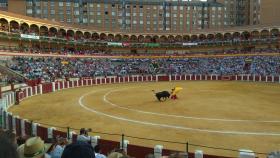 Castilla y León