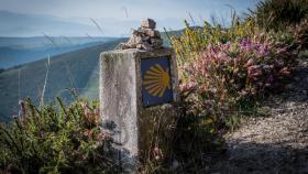 Camino de Santiago