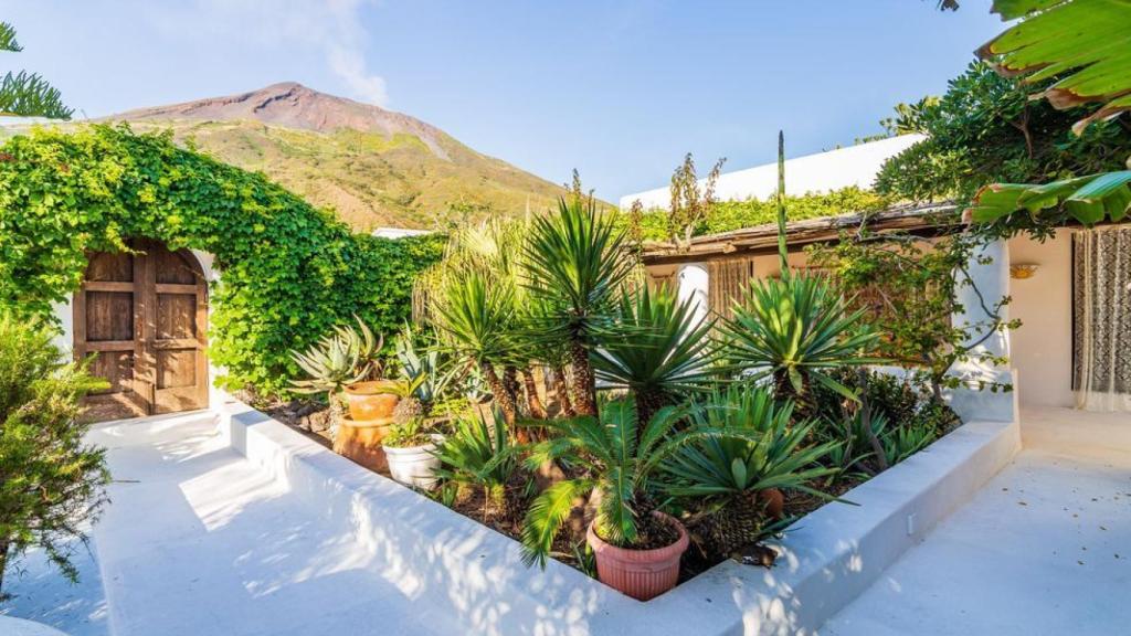 Los jardínes contrastan con las cenizas de la ladera del volcán italiano.