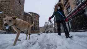 Una persona pasea junto a su perro en Toledo.