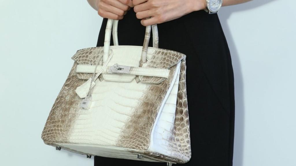 Modelo con el Diamond Himalaya Birkin.