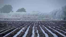 Cultivos con nieve en una imagen de archivo.