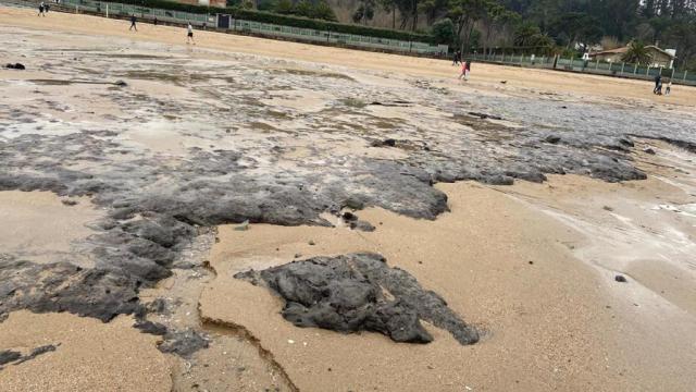 Los restos que aparecieron en la playa de Bastiagueiro (Oleiros).