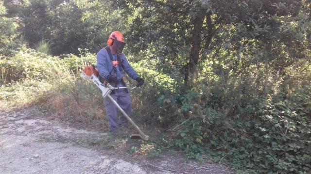 Un hombre realiza trabajos de desbroce.