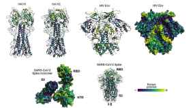 Imágenes de proteínas de virus de la gripe, VIH y SARS-CoV-2 con zonas coloreadas según su potencial para mutar y ‘escapar’ de la respuesta inmunitaria. / B. Hie et al.-MIT/Science