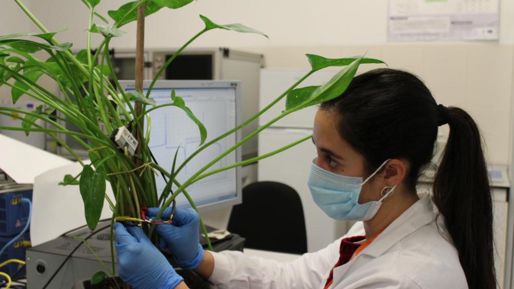 Laura García Carmona, la autora de la tesis que ha dado pie a este proyecto. FOTO: ITE.