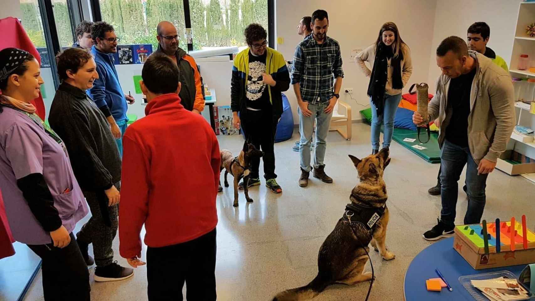 Los perros de la Policía Local de Lorca participan en terapias para personas discapacitadas.