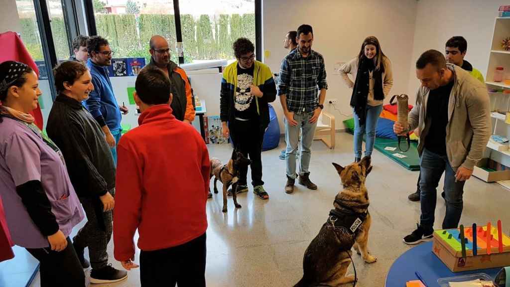 Los perros de la Policía Local de Lorca participan en terapias para personas discapacitadas.