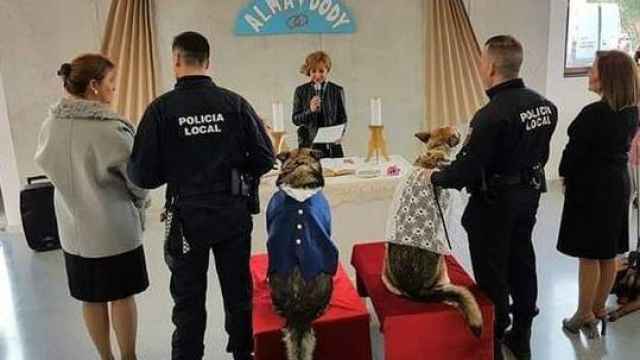 La boda de Dody y Alma, los perros de la Policía casados en Lorca hace dos años.