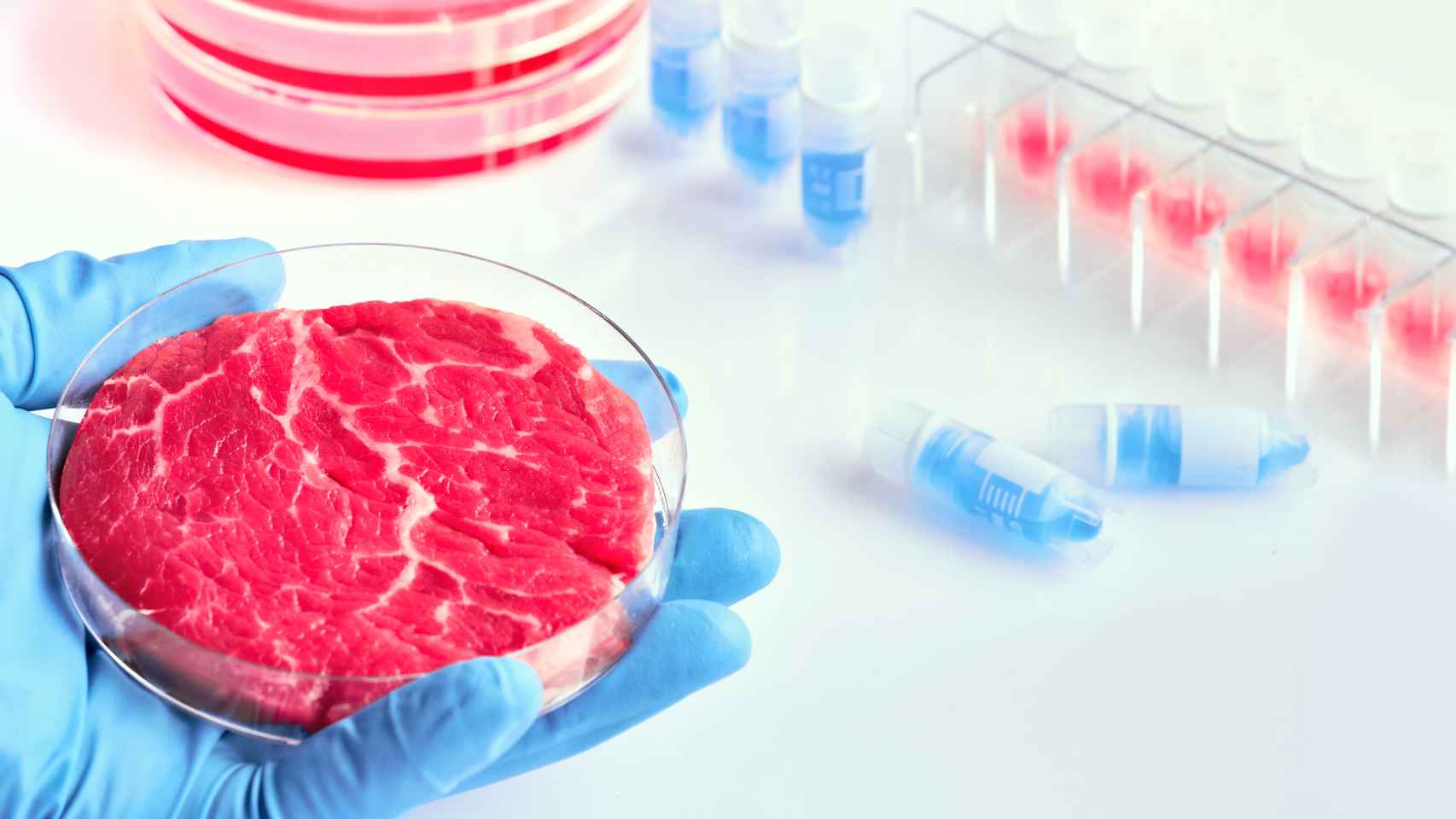 Cultivo de carne en un laboratorio.