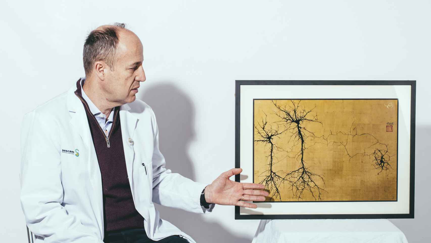 El doctor Segura con la réplica de un grabado de una tinción del cerebro de Ramón y Cajal.