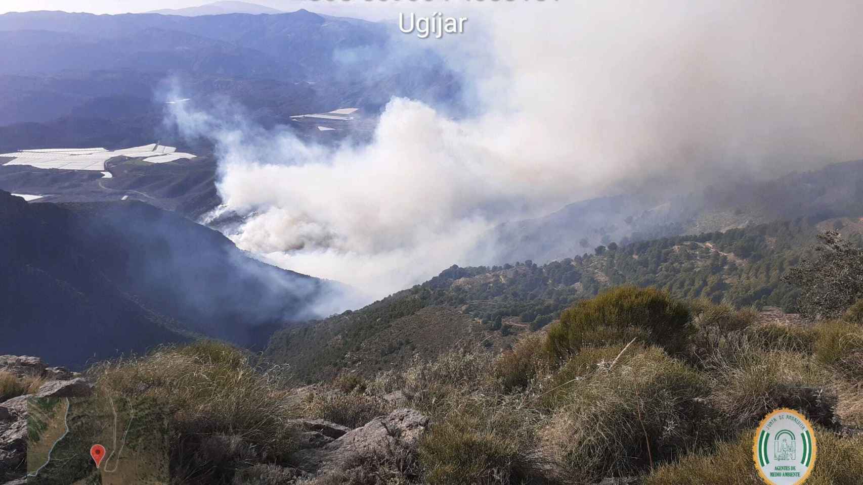 Imágenes del incendio declarado en Berja, Almería.
