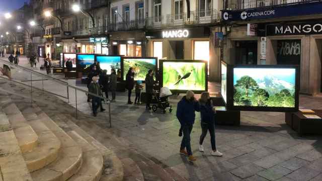 Exposición De Polo a Polo, un viaje a los grandes paraísos naturales frente al museo MARCO en Vigo.