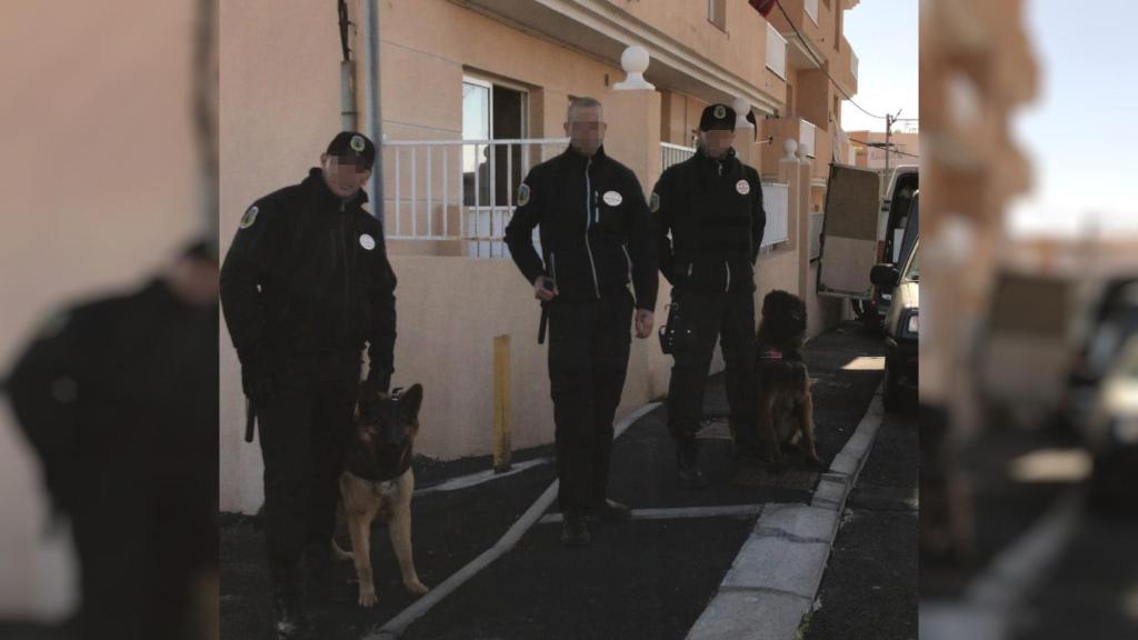 Tres vigilantes con dos canes, en el desalojo de una vivienda.