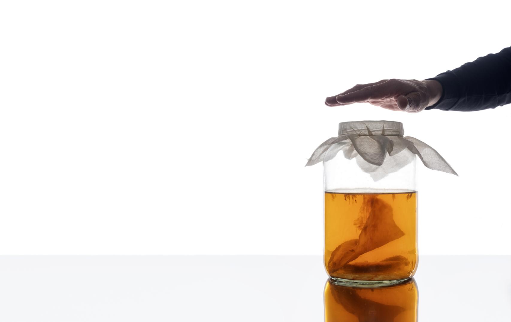 ¿Qué ocurriría si dejásemos envejecer una kombucha?