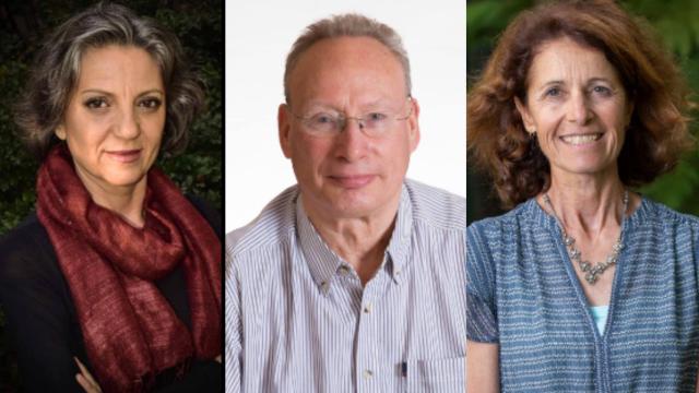 Sandra Díaz, Mark Westoby y Sandra Lavorel.