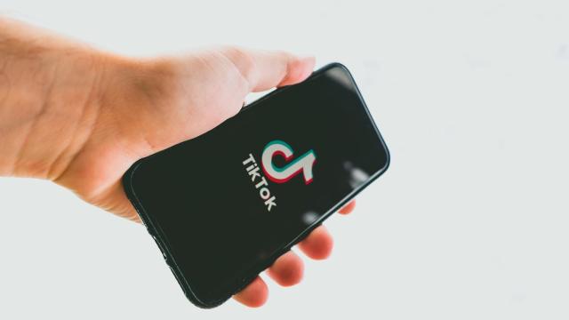 Cosas que puedes aprender en TikTok