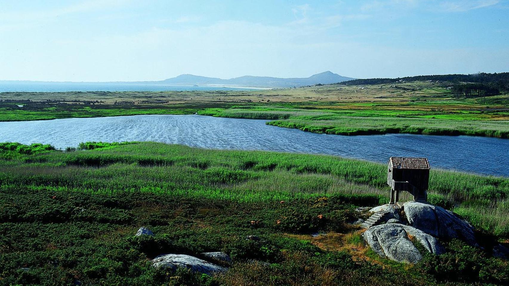 Los 5 espacios “Ramsar” de Galicia: los humedales de la comunidad