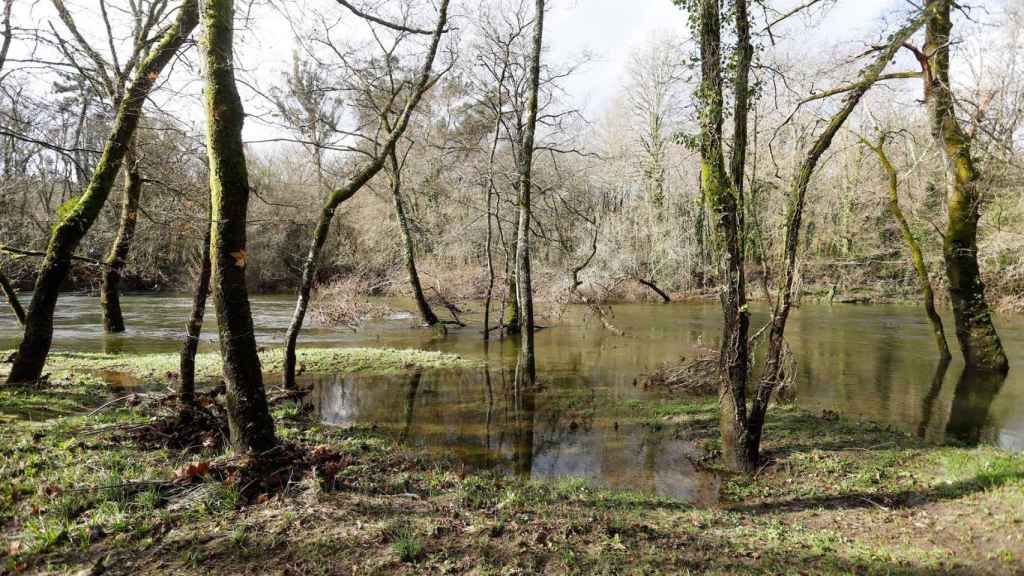 Imagen del río Tea desbordado tras las lluvias.