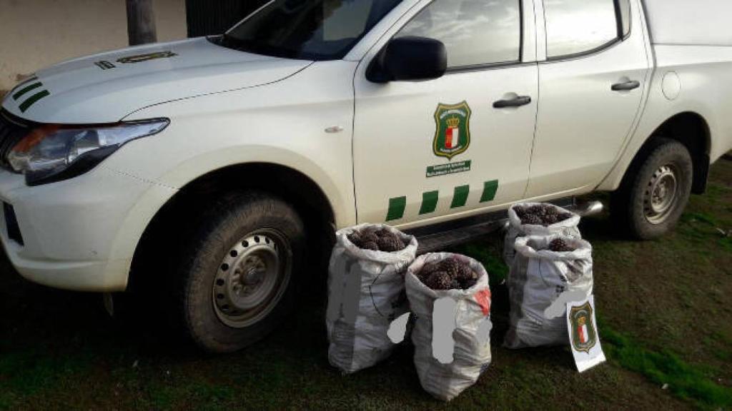 Foto: Agentes medioambientales CLM