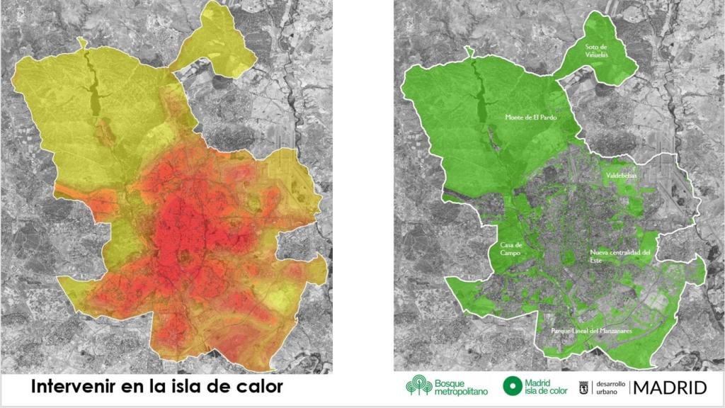 Proyecto 'Isla de Color'.