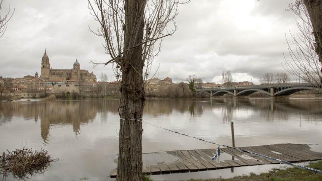 Castilla y León