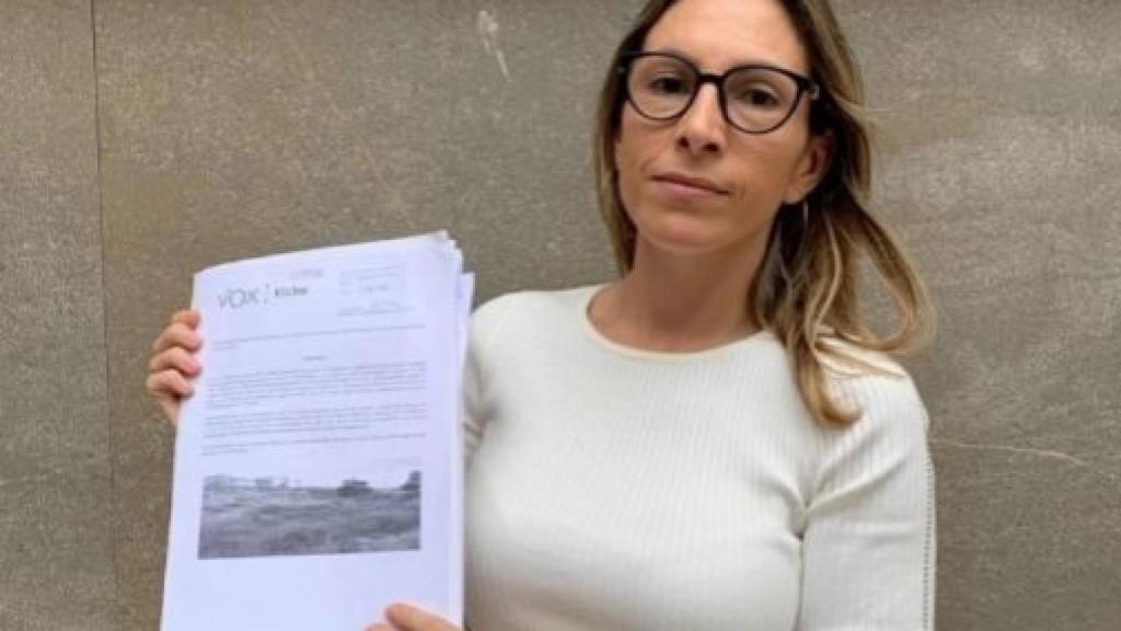 La ex portavoz de Vox en Elche, Amparo Cerdá.