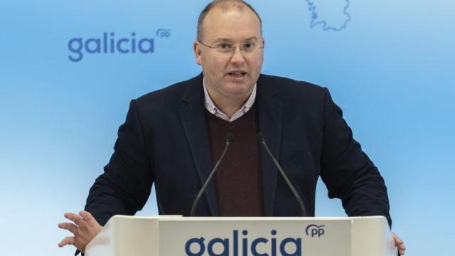 El secretario general del PPdeG, Miguel Tellado, durante una rueda de prensa.