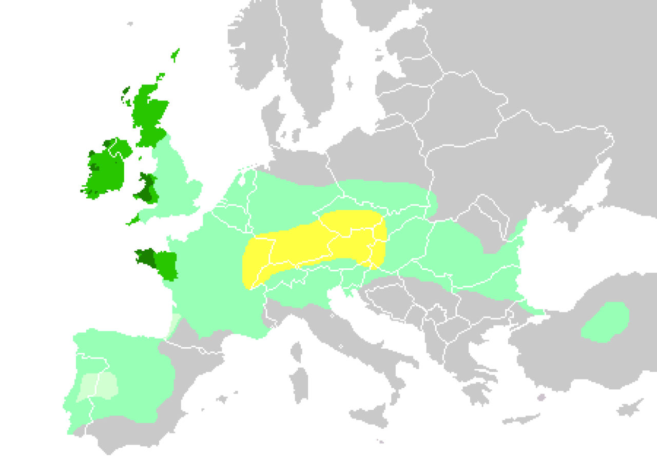 Presencia de los pueblos y lenguas celtas en Europa. Fuente: Wikipedia.
