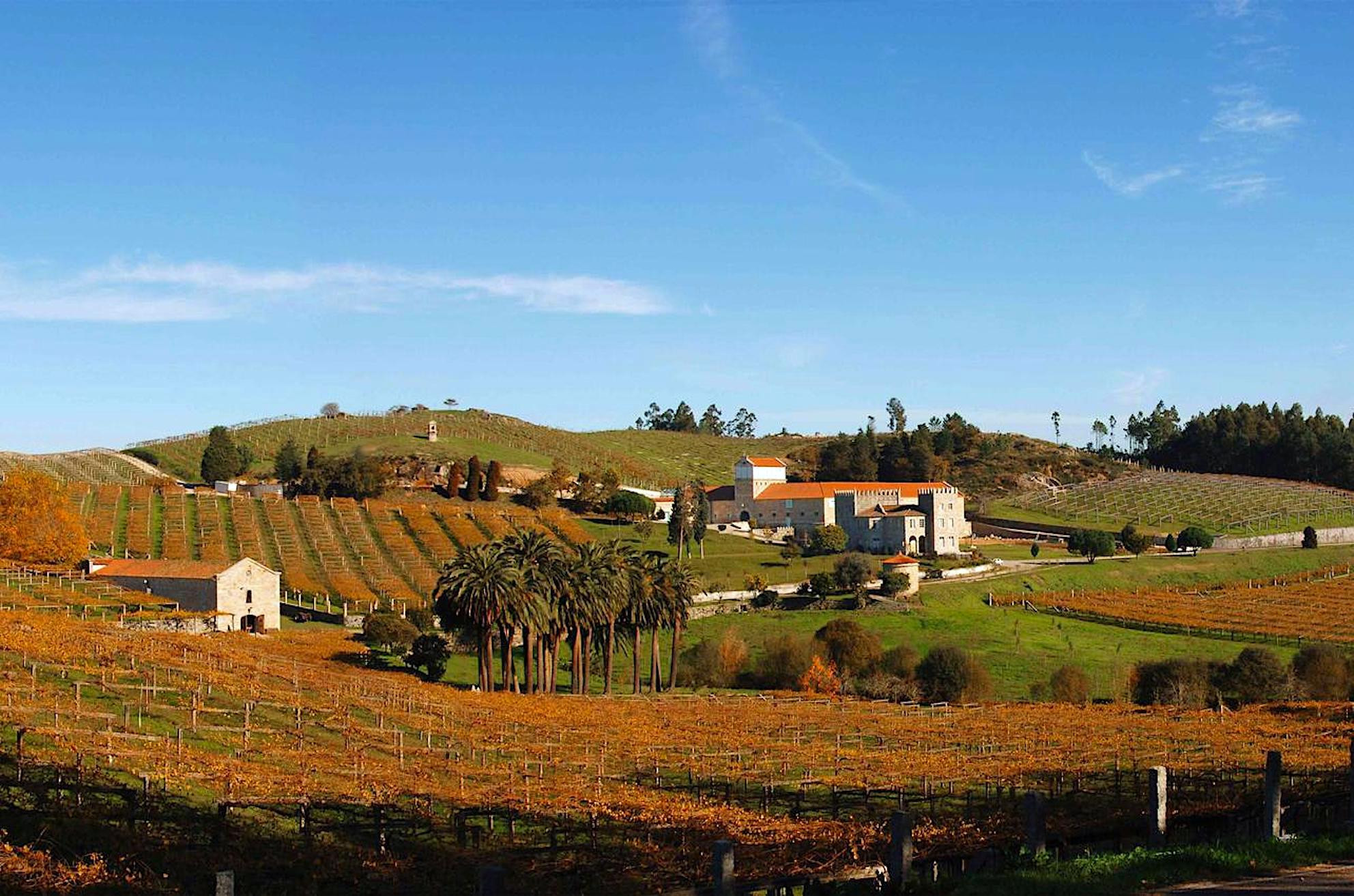 Panorámica de la propiedad y viñedos de Pazo Baión. Foto: Guía Repsol