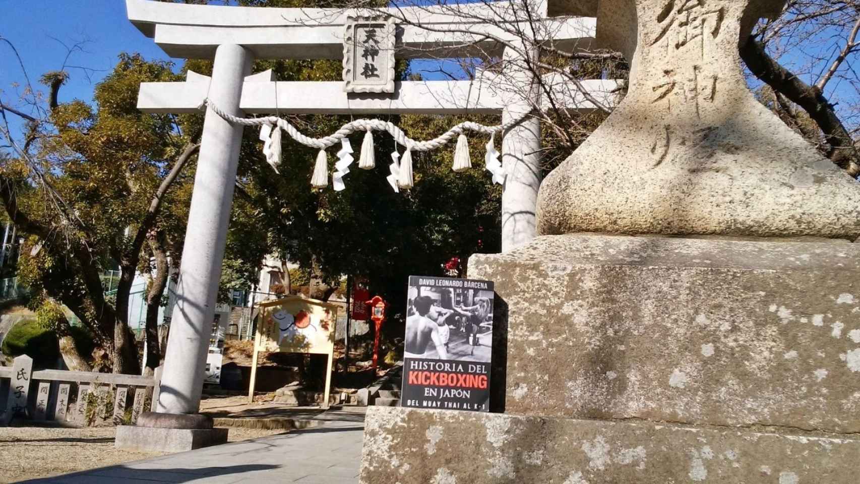 Libro 'Historia del kickboxing en Japón'
