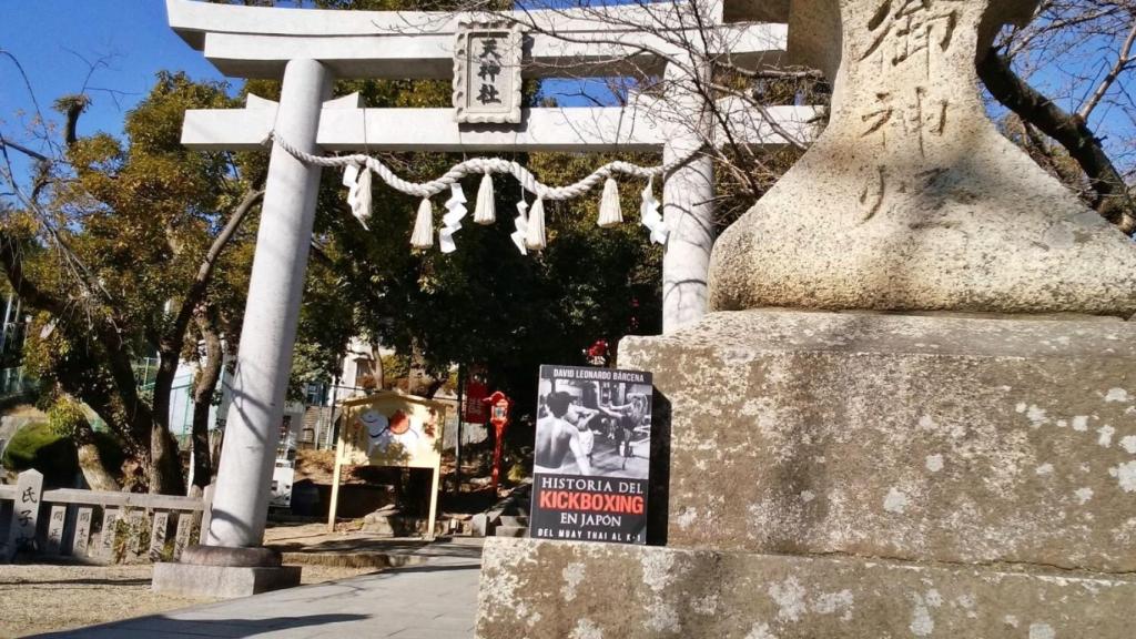 Libro 'Historia del kickboxing en Japón'