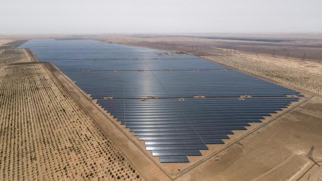 Sterling & Wilson: España, el centro de la industria solar de Europa, es una oportunidad de mercado