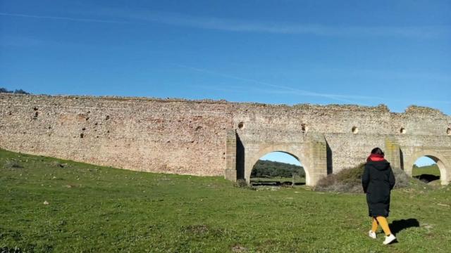 Castilla y León