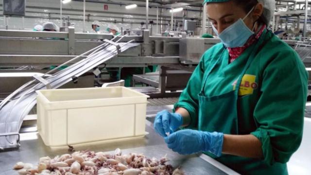 La Xunta amplía las ayudas para las empresas de transformación de productos pesqueros