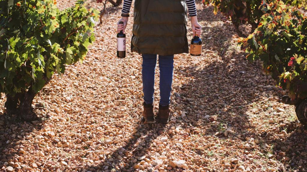 Hay razones de peso para pasarse a los vinos ecológicos.