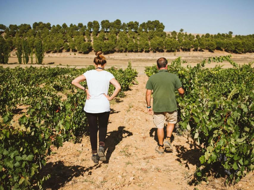 El cambio de mentalidad empieza en el viñedo.