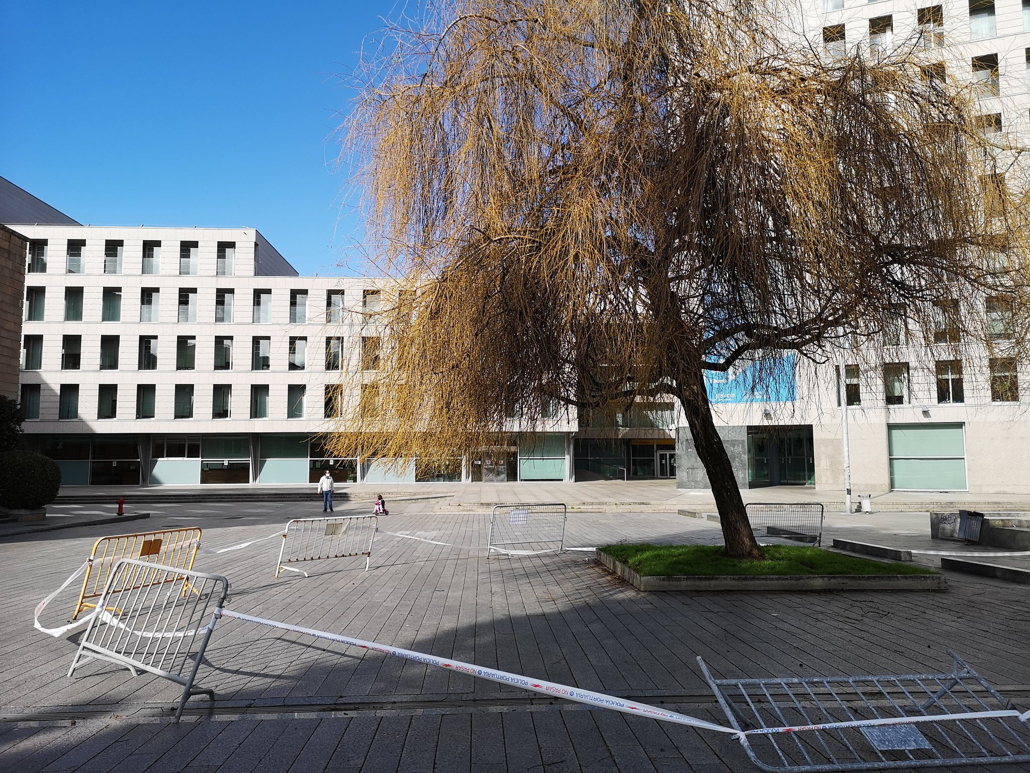 El árbol se valló y precintó ayer por el mal estado del tronco