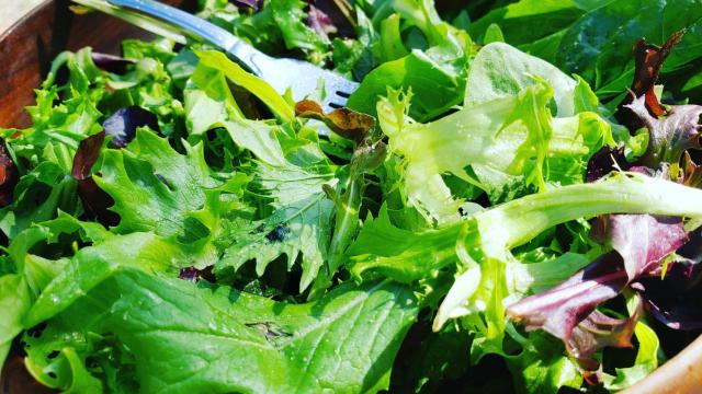 Una ensalada verde con brotes diferentes.