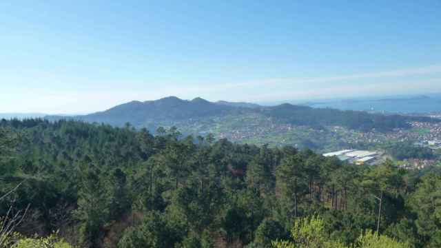 Parque Forestal de Beade, en Vigo