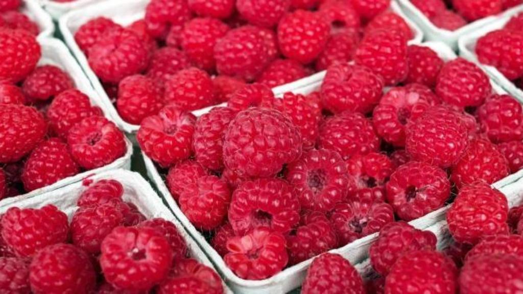 Carlos Sobera reconoce que es amante de los frutos rojos.