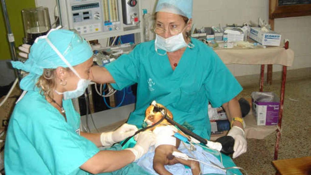 El equipo de Cavadas en una de sus operaciones en su hospital de campaña.