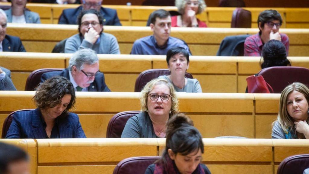 Una foto del Senado. En el centro, Celia Cánovas.