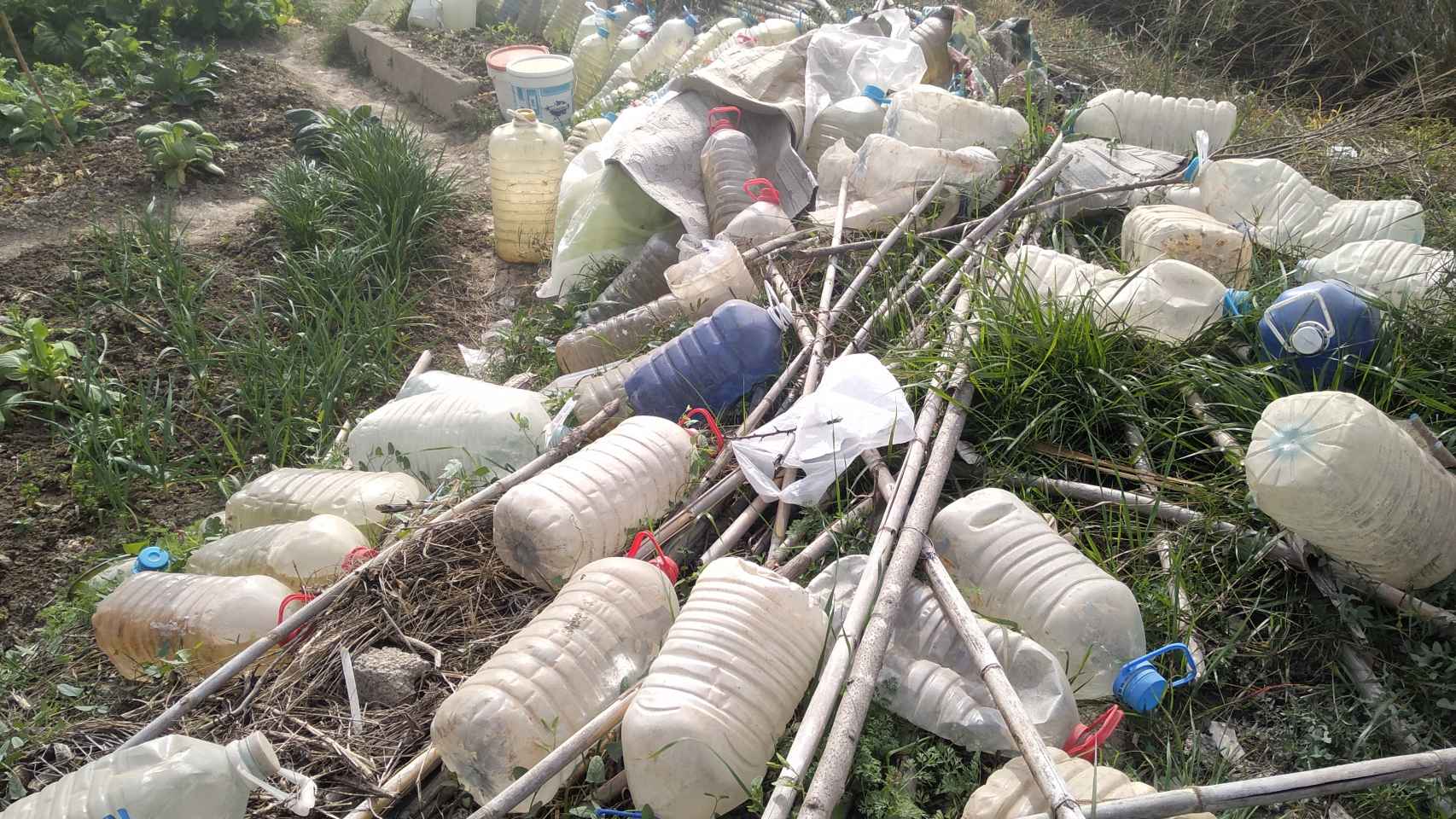 En la parcela se acumulan las garrafas que utilizan para regar el 'huerto okupa'.