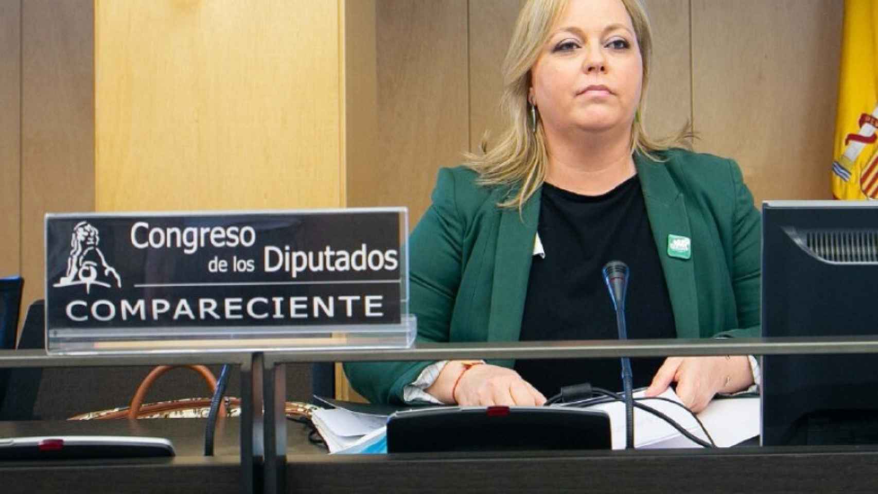 Mari Carmen Morillas presidenta de la FAPA Francisco Giner de los Ríos