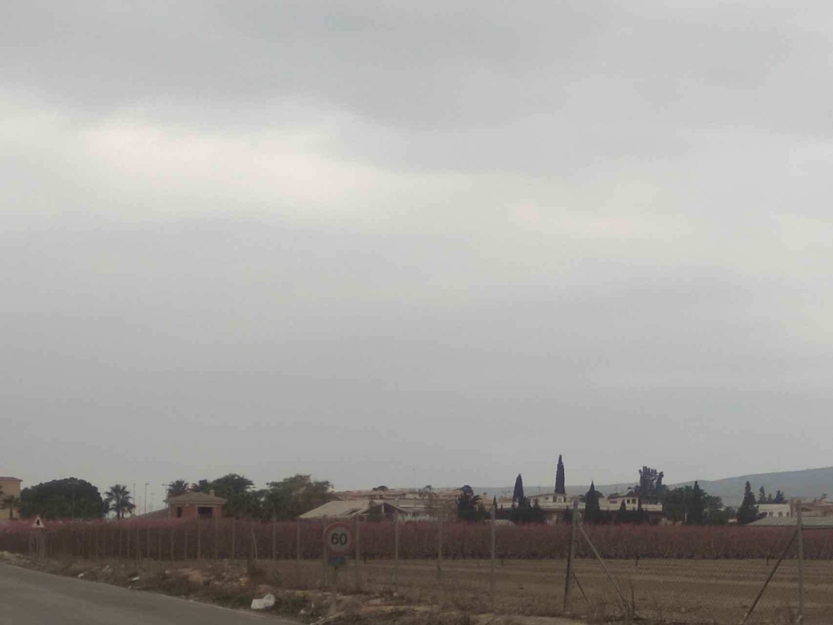 Una explotación agrícola de la Comarca de la Vega Alta del Segura.