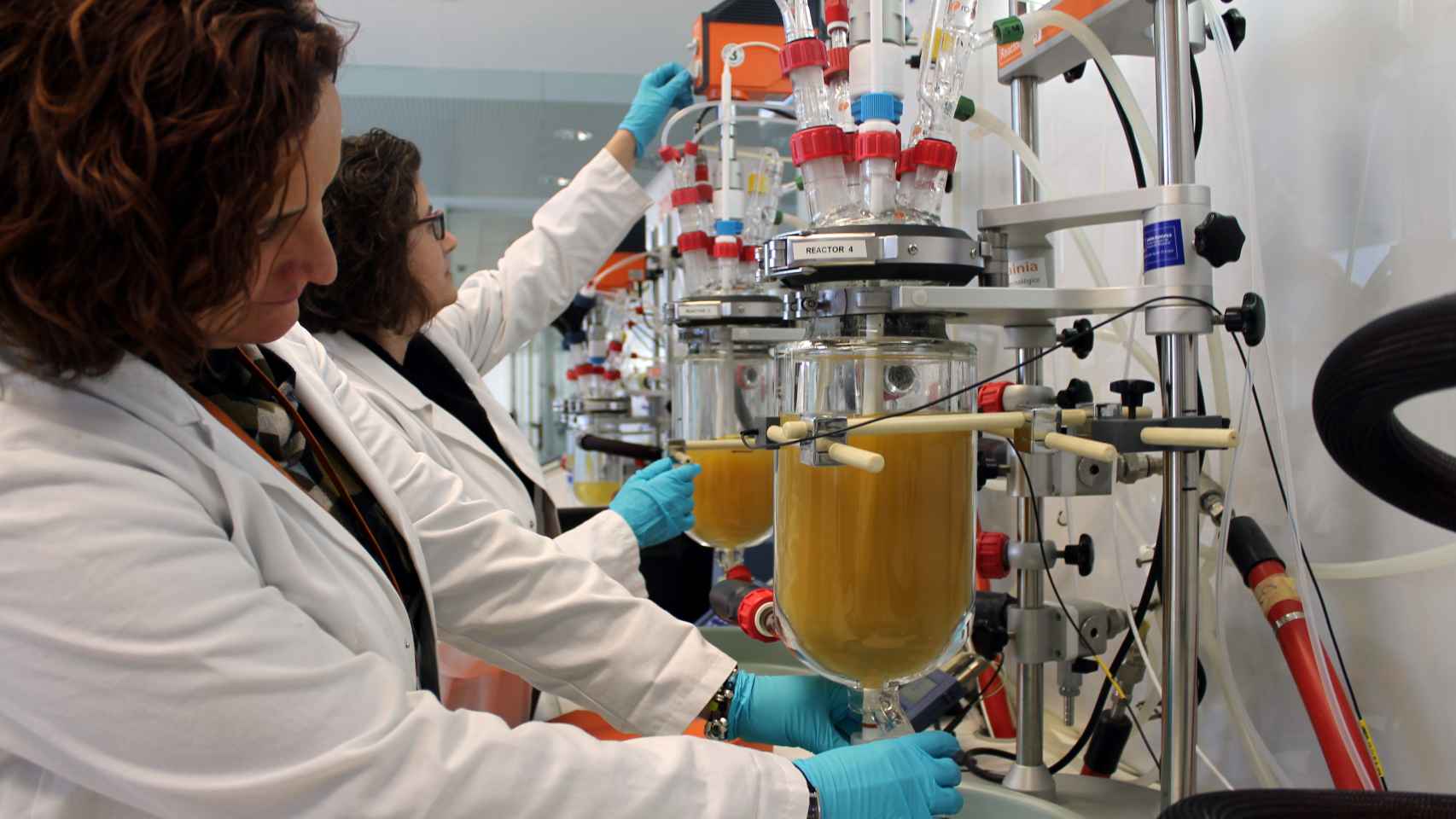 Dos investigadoras trabajan en uno de los laboratorios de REDIT.