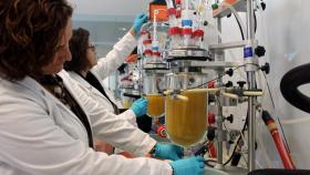 Dos investigadoras trabajan en uno de los laboratorios de Ainia, instituto de la red REDIT.